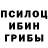 Галлюциногенные грибы GOLDEN TEACHER Ogurechka Xleb
