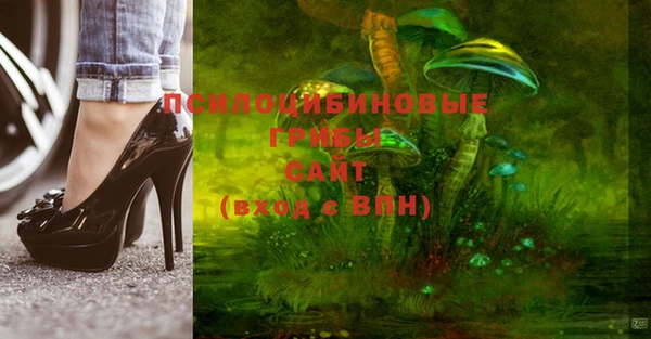 бошки Белоозёрский