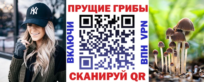 Галлюциногенные грибы GOLDEN TEACHER  Купить где  Избербаш 