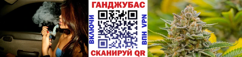Бошки Шишки план  Купить  Избербаш 